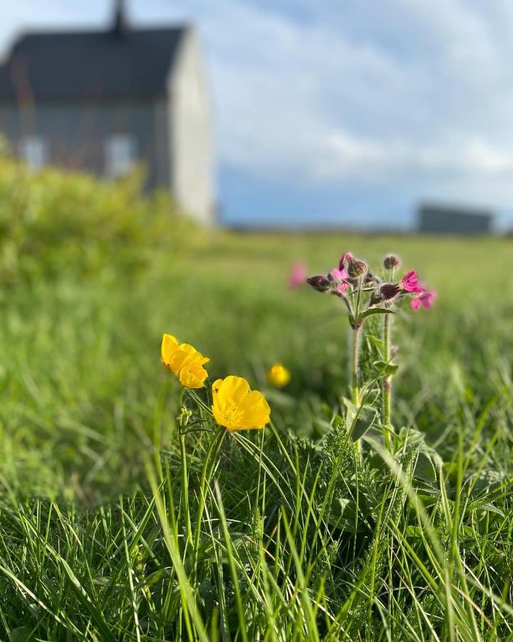 Melar Guesthouse Kópasker Exteriér fotografie